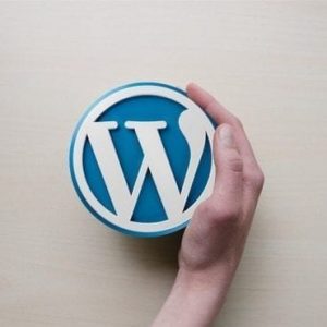 What is a WordPress Plug In?