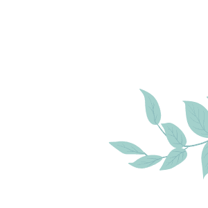 Simplemachine Website Design | Leaves