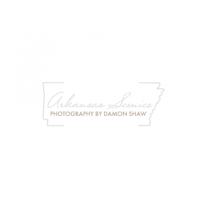 Simplemachine | Logo Design | Arkansas Scenics | Bentonville, AR