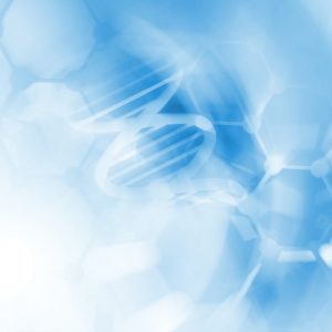 Simplemachine Designs | Web design | NWA DNA Testing